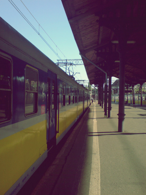 ciufcia.