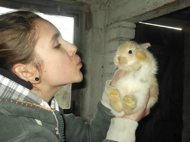 Krliczek.!