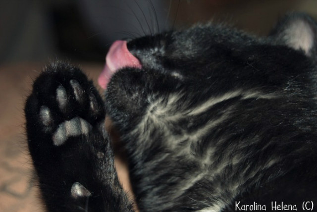 Wpis sisterphotography