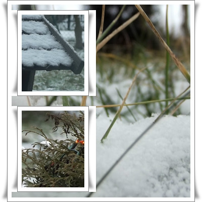 WINTER . < 3 