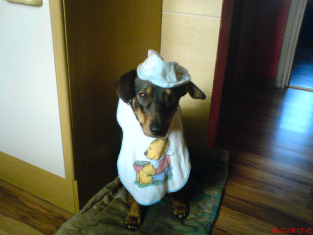 Moja TinkaTo tylko pies, tak mw