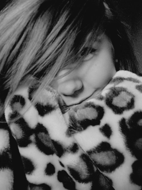 Wpis determinatee