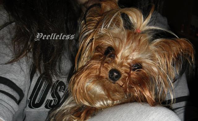 Ganja &#9829;