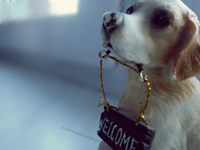 Welcome. ^^