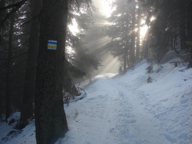 Polana Chochoowska