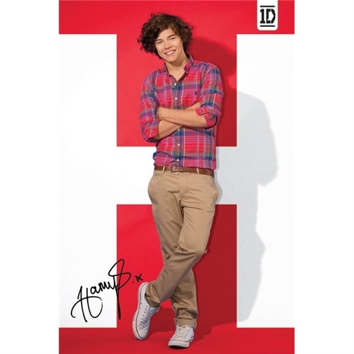 Wpis xonexdirectionx