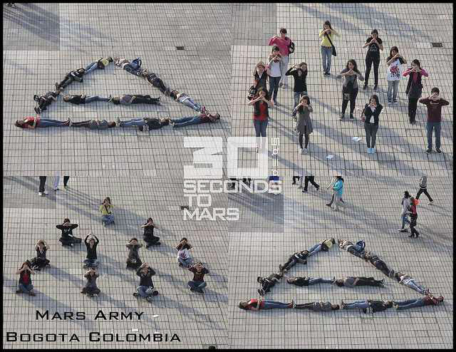 Human Triad