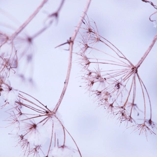 winter 2012