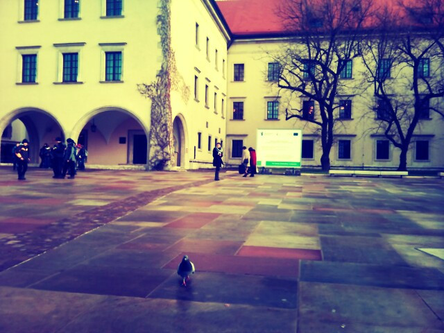 Popatrz, a dojrzysz. :) 