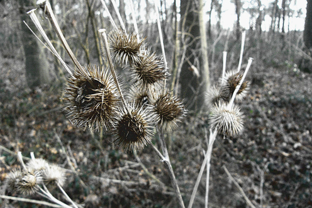 costamcostam