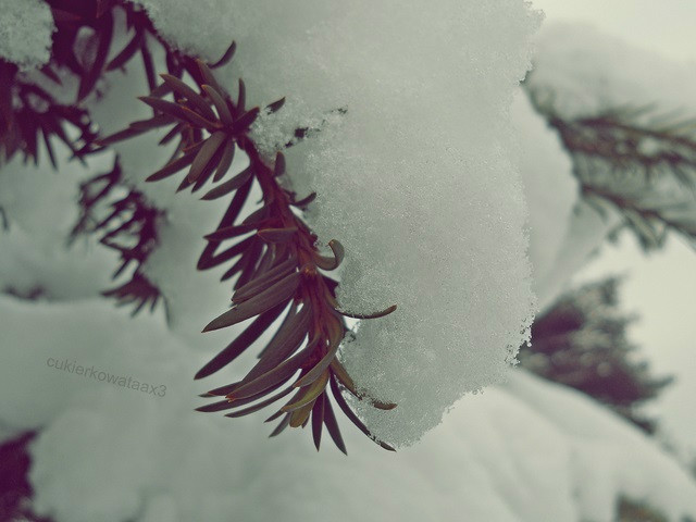 Snieg. :)