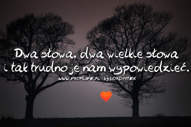 Wpis ajlov