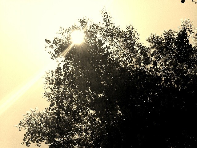 plotki...