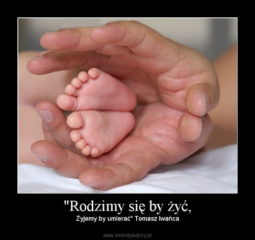 yj i nie umieraj...