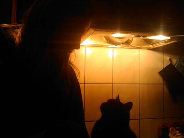 Wpis macionek