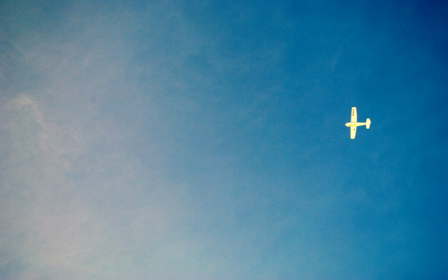 fly