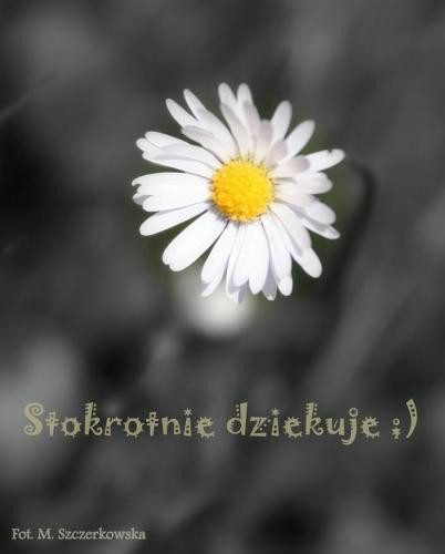 Wpis ewuchabezucha