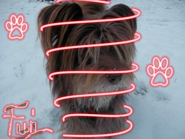 fuuuuunia*:
