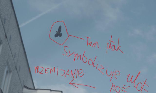 co mia na myli autor?