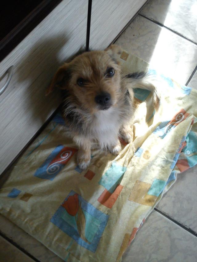 Azik. ;***
