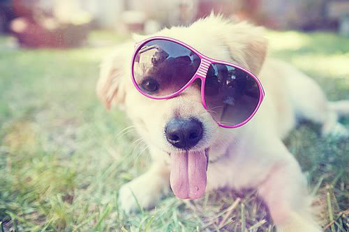 So Sweet 