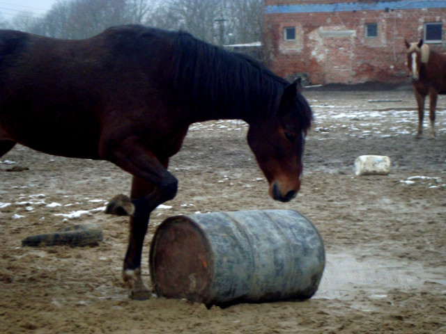 Pysiuu . :*