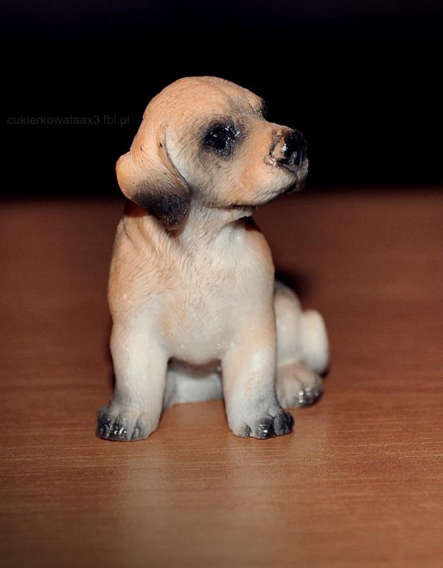 Piesio ^^
