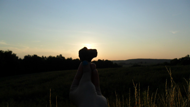 heart