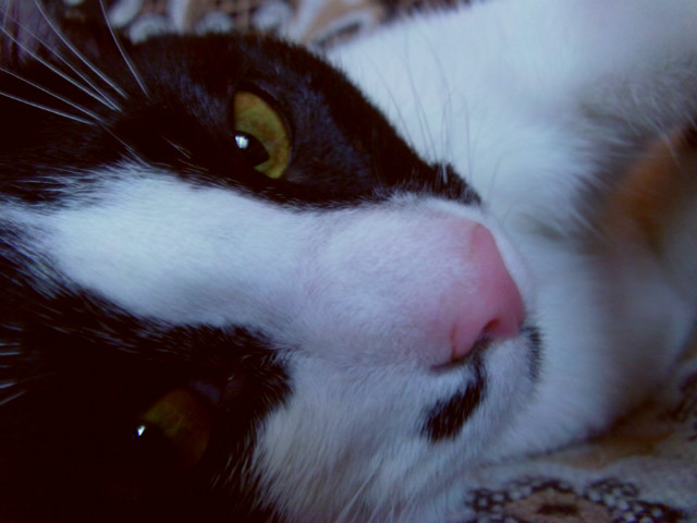 Look at me.
