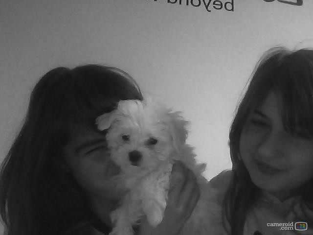Wpis stupidlifee