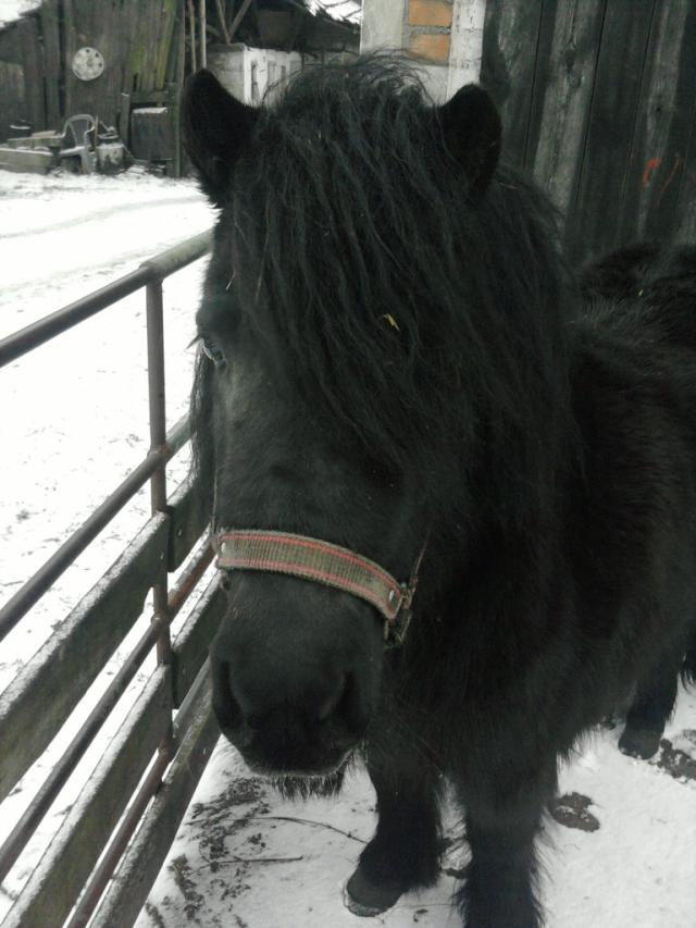 Karinka :*