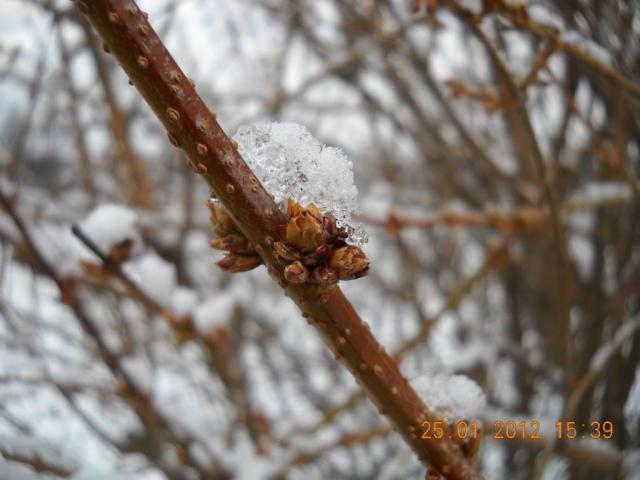 sesja Zimowa:)....