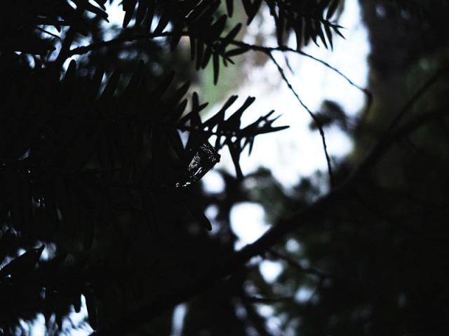 17.