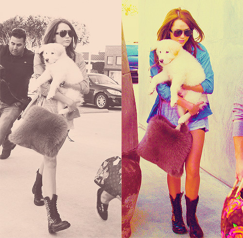 Wpis xlovemileyx