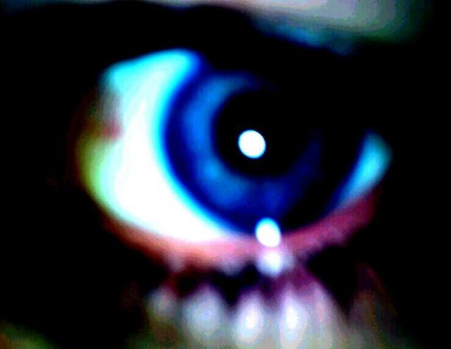 Hello Everyone