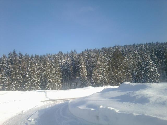 winter ;3