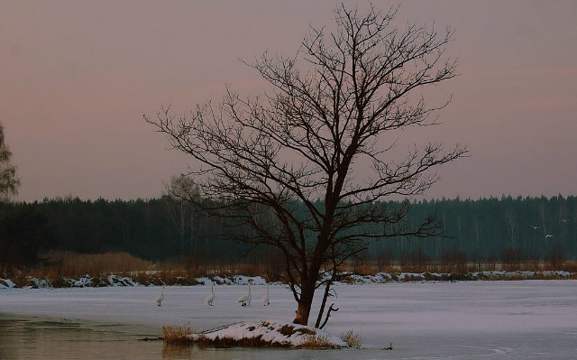 // troch czasu by pomyle.