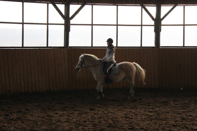 Wpis horsesandtheyonly