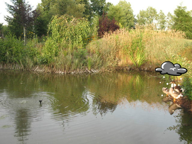 STODOLSKO
