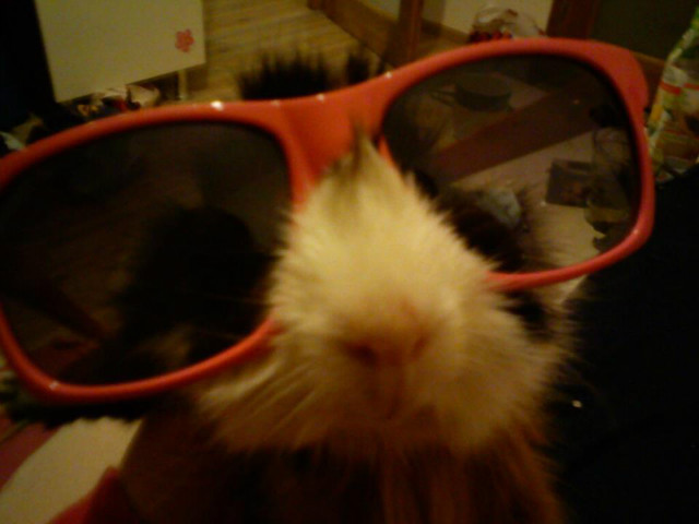 Henryk !