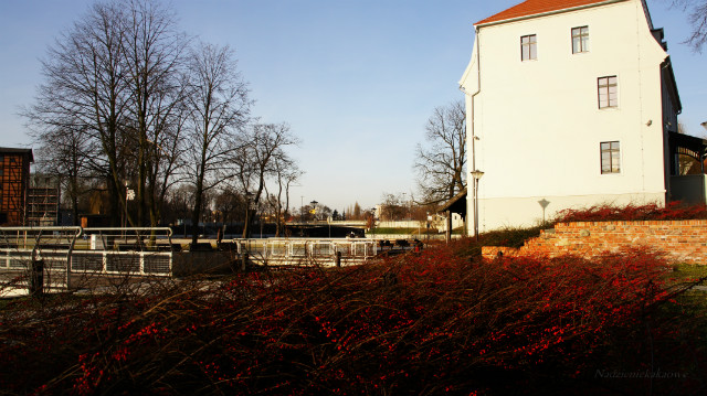 Wpis nadzieniekakaowe123