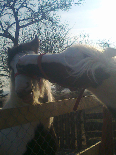 Doniek & Daisy x3!