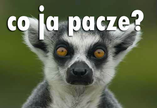Wpis ap4n