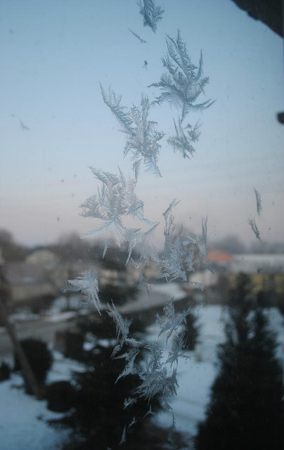 winter decay  ;/