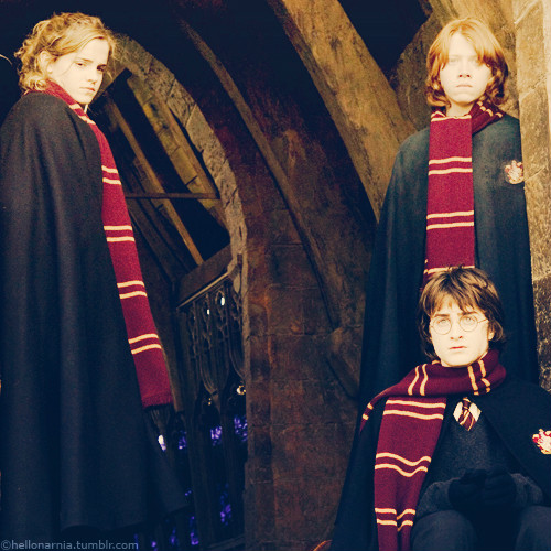 Harry, Ron and Hermione.