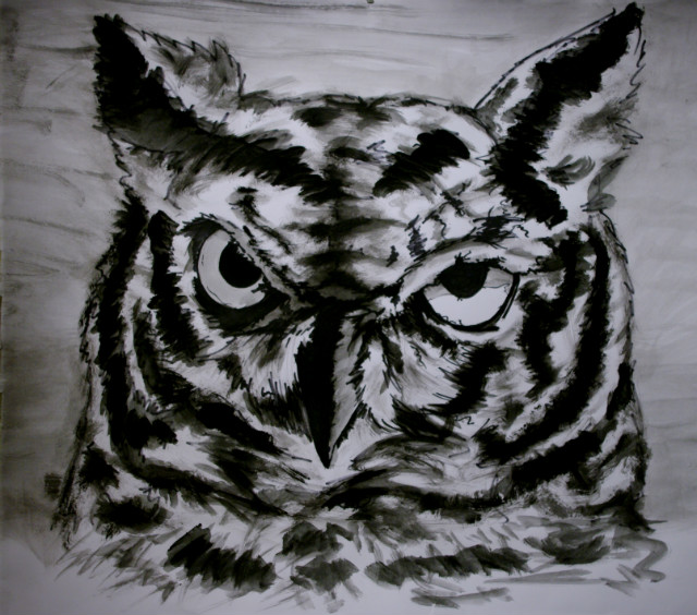 LOOK AT THIS OWL!