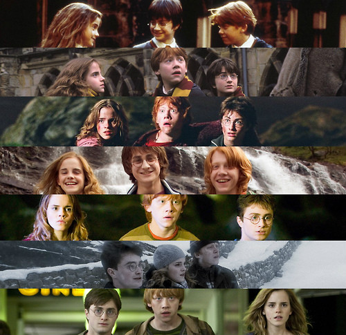 Harry, Ron and Hermione. 