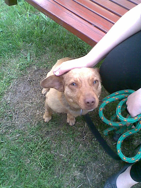 Rudy ! < 33