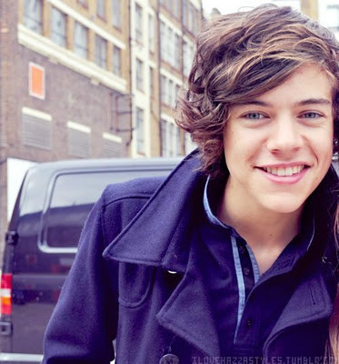 Wpis haryystyles123