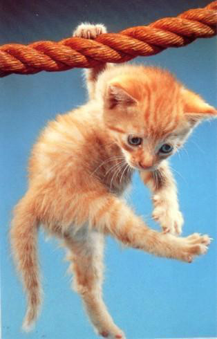 bez silne .. ; /